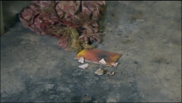 Harphoul Mohini - 14th November 2022